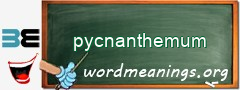 WordMeaning blackboard for pycnanthemum